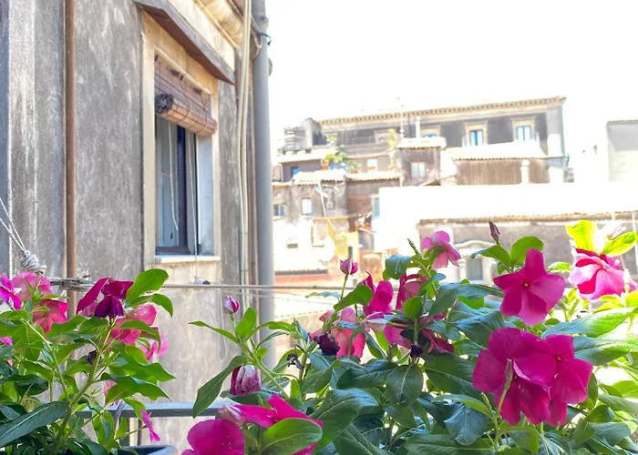 Bed and Breakfast Dimora dei Minoriti Catania